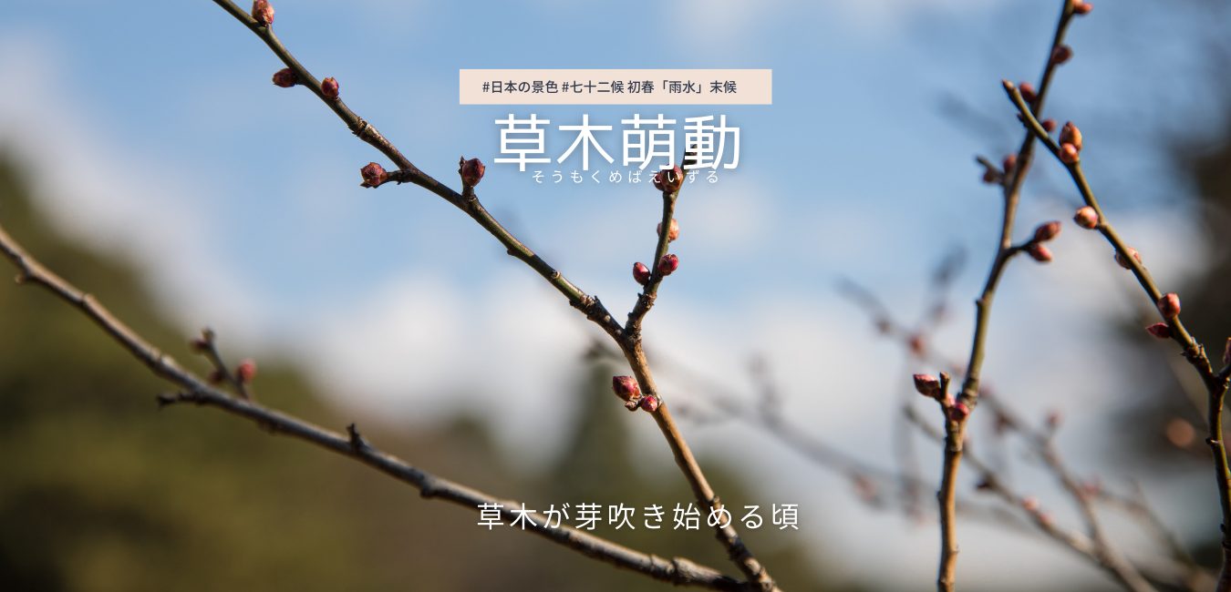 七十二候　第6候 　そうもくめばえいずる