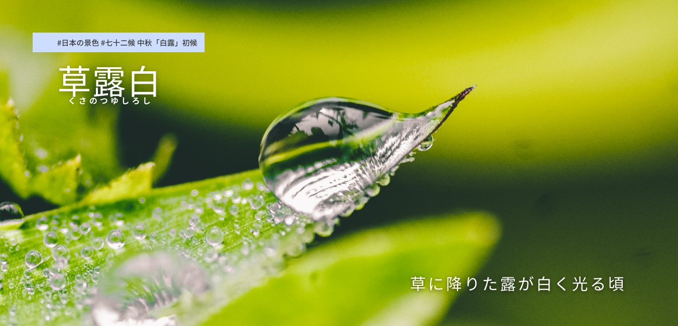 七十二候　第43候 　くさのつゆしろし