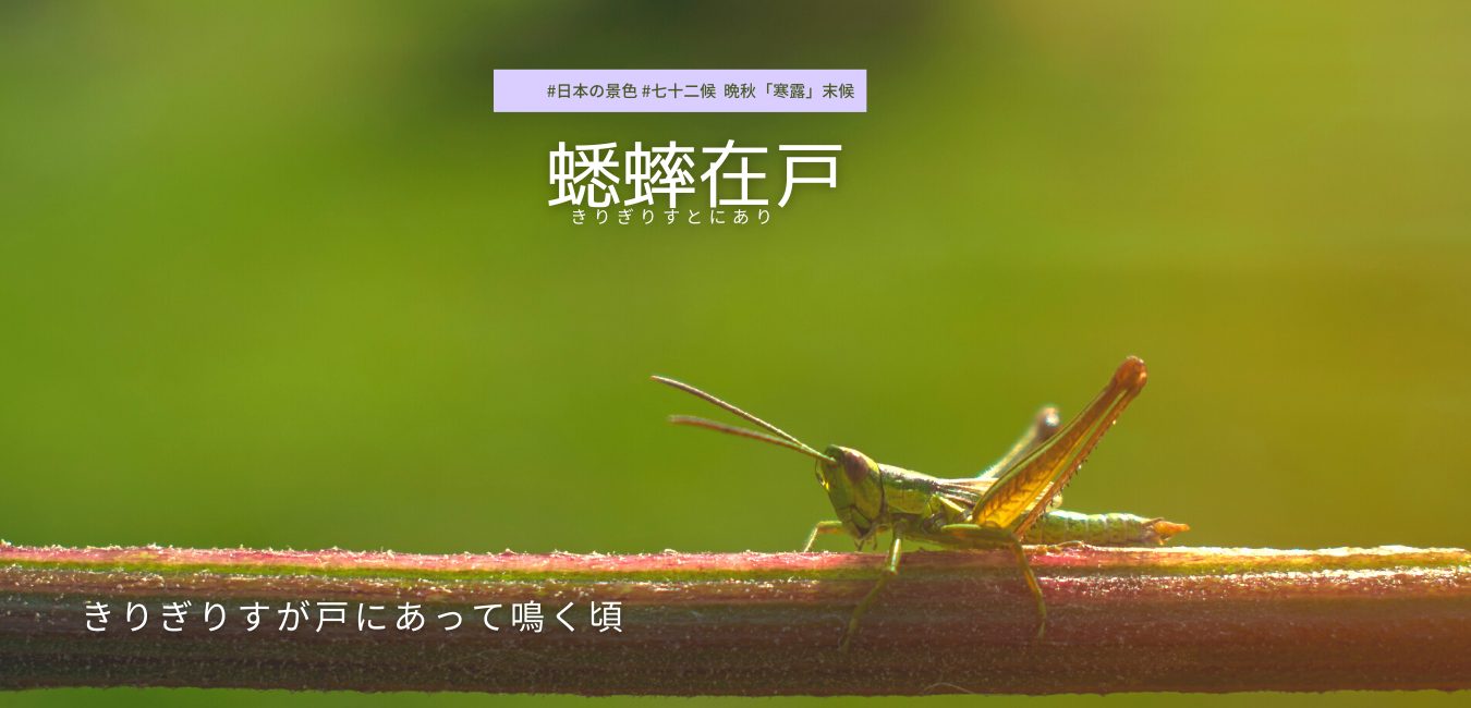 七十二候　第51候 　きりぎりすとにあり