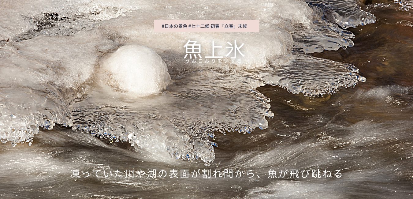 七十二候　第3候　うおこおりをいずる