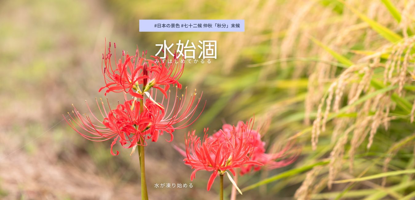 七十二候　第48候　みずはじめてかるる